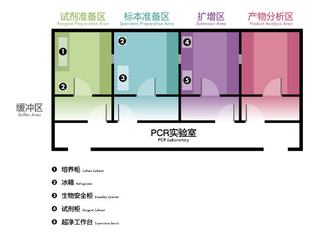 PCR实验室设计